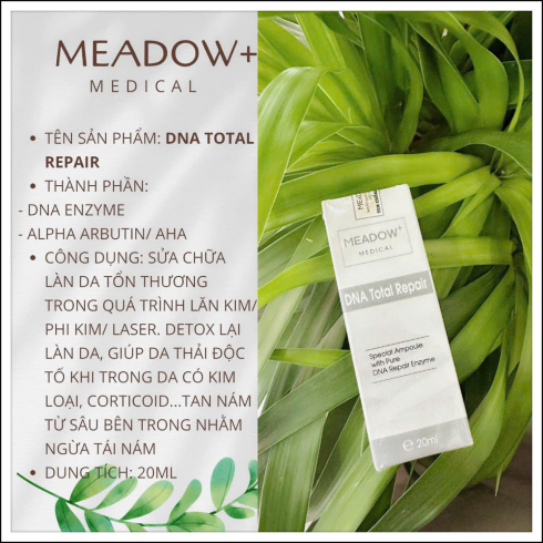 DNA Total Repair Meadow Medical